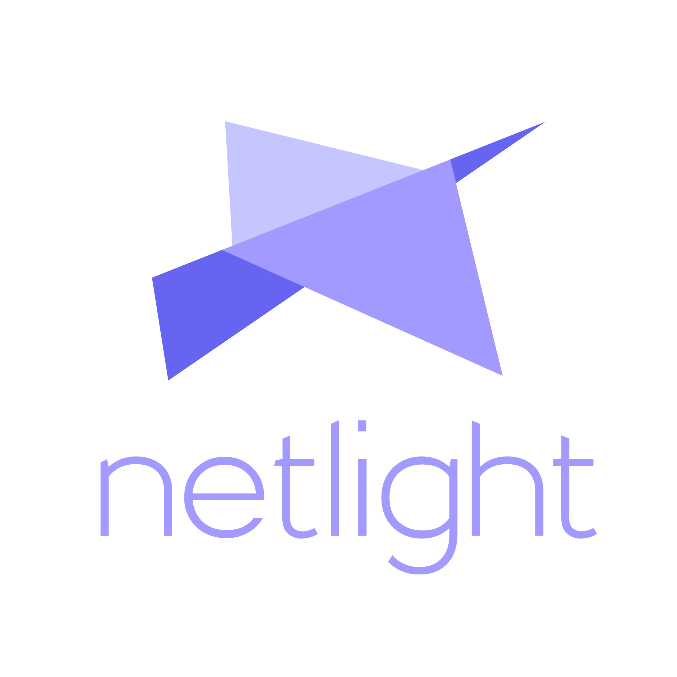 Netlight - IT Consultant